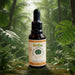 propolis tinctuur
